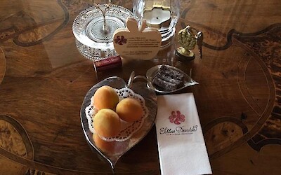 Photo 4 (submitted by Estrella55)