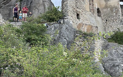 (submitted by Jim Gross)