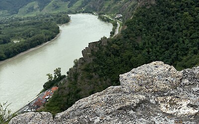 (submitted by Jim Gross)