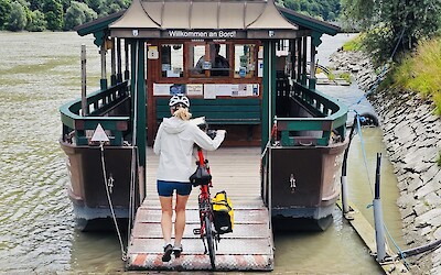 (submitted by Tonya)