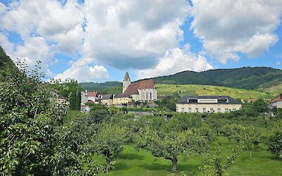 (submitted by Tonya)