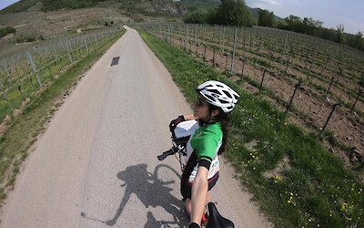 Austrian wine country! (submitted by Traveling Jackie)