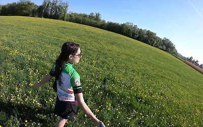 One day I stopped to frolick in a field, because it was calling my name! (submitted by Traveling Jackie)