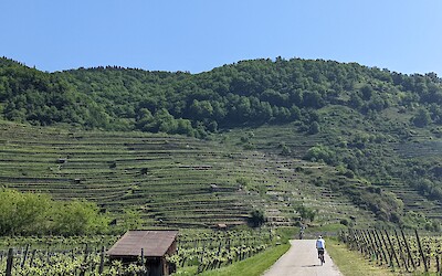 (submitted by Steven Froehlich)