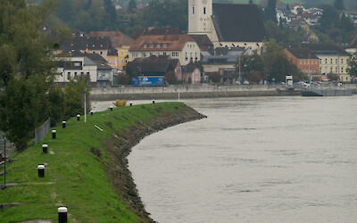 (submitted by Gregory Lebo)