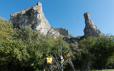 (submitted by Gregory Lebo)