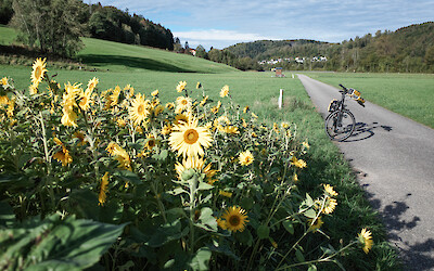 (submitted by Gregory Lebo)