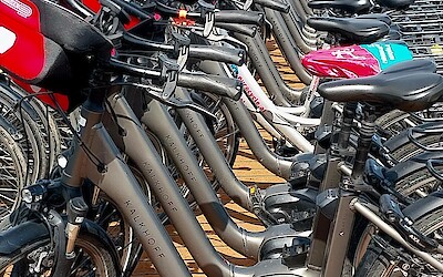 Ready to Ride! (submitted by Estee Beard)