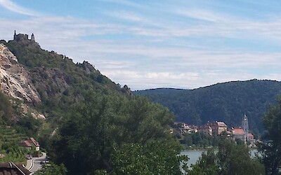 Photo 1 (submitted by JenniferW)