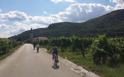 Photo 2 (submitted by JenniferW)