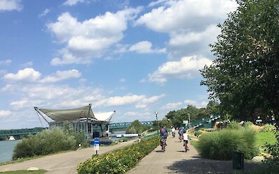 Photo 5 (submitted by JenniferW)