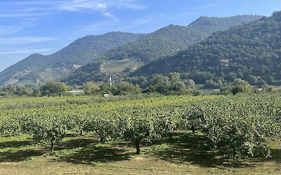 (submitted by Renee Fogelberg)