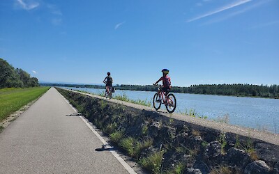 Some family members are more adventurous than others. (submitted by Robert Taylor)