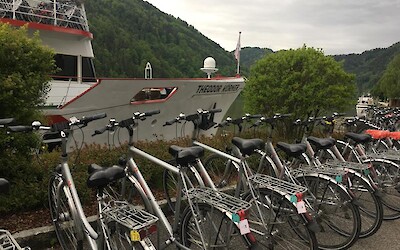 Photo 1 (submitted by Jaya)