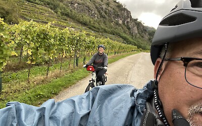 Biking through Austria&rsquo;s wine country (submitted by Tammy Noteboom)