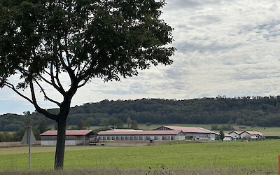 More beautiful countryside. (submitted by Tammy Noteboom)