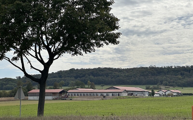 More beautiful countryside. (submitted by Tammy Noteboom)