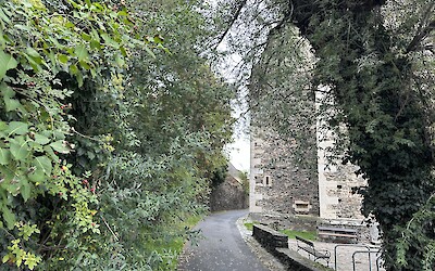 So much beauty (submitted by Tammy Noteboom)