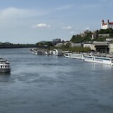 Watching the boat coming into Bratislava (photo by Emily W)