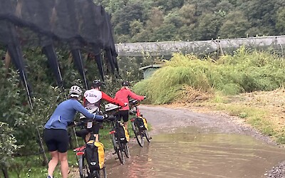 Rainy day. (submitted by Paula Zoccano)