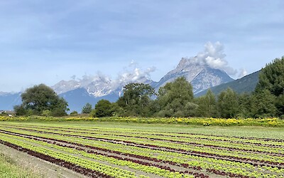 (submitted by Jane Fletcher)