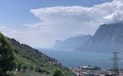 (submitted by Llewellyn F.)