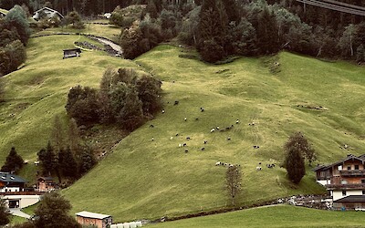 Pastures that go up forever (submitted by Nicolas Roggeman)