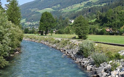 Photo 5 (submitted by Sewathom)