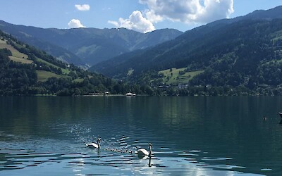 Georgeous Zell am See (submitted by NancyinCO)