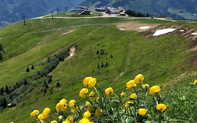 Top of mountain ZellamSee (submitted by Robyn)