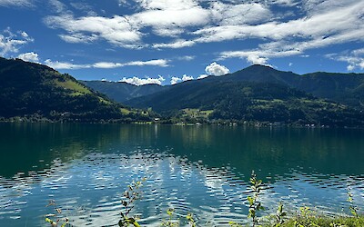 (submitted by Marek Hartleb)