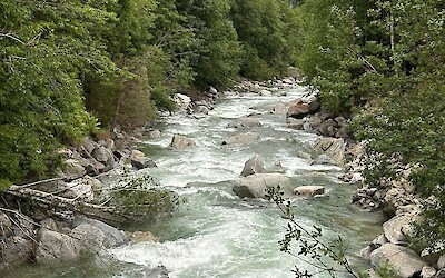 (submitted by Marek Hartleb)