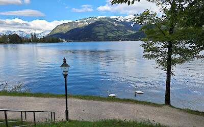 (submitted by Nancy Reid)