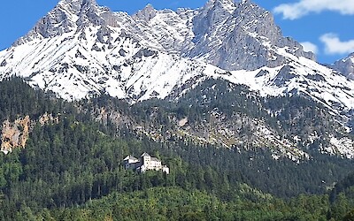 (submitted by Nancy Reid)