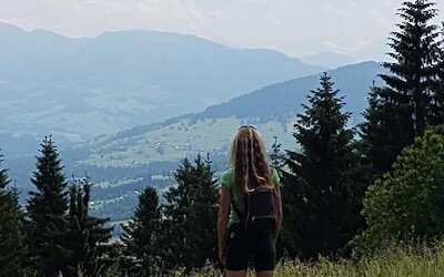 Photo 6 (submitted by Beegrl)