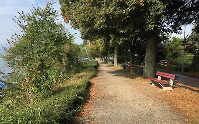 Photo 2 (submitted by Mary)