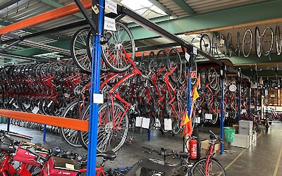Bike shop.  Notice hundreds of rentals...from just one of several firms serving the area. (submitted by Bruce)