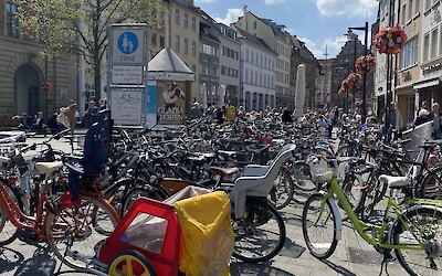 (submitted by Bridget Harron)