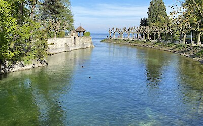 (submitted by Bridget Harron)