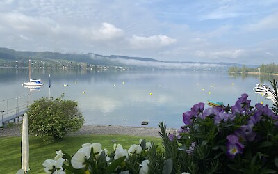 (submitted by Bridget Harron)