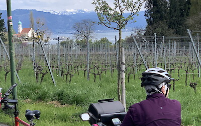 On the way to Lindau seeing Alps in the distance (submitted by Joseph Tevaarwerk)