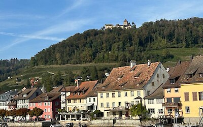 (submitted by Anita Bhinge)