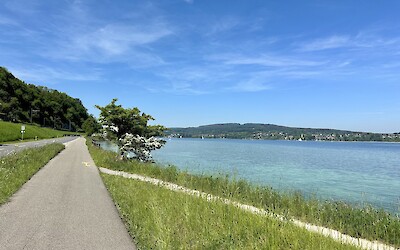 Part of the bike path (submitted by Sarah D)