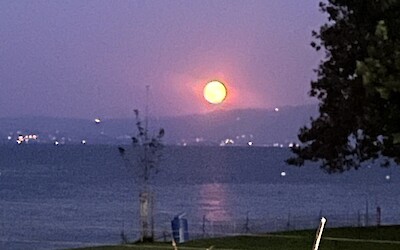 (submitted by charlotte lenssen)