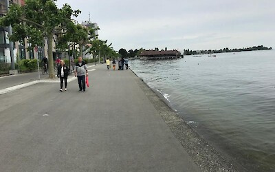 Photo 2 (submitted by PeterP)