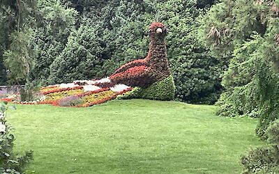 Mainau (submitted by Ian)