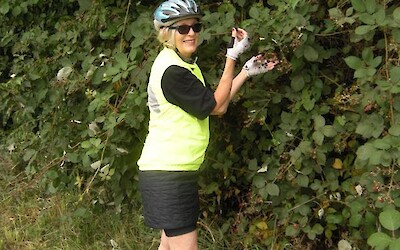 Late August berry picking on the outskirts of Stein-am-Rhein. (submitted by MarcieB)