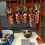 Honor produce stands a common sight along the Bodensee Radweg. (photo by MarcieB)