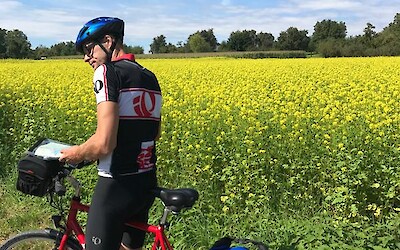 Canola Fields (submitted by Mick)