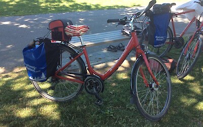 Break in the Park (submitted by Bughollow)